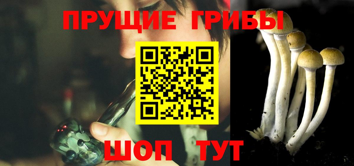 Галлюциногенные грибы прущие грибы Димитровград